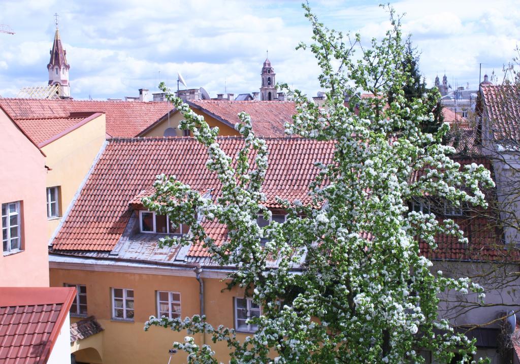Old Town Apartment Antokolskio VNO Eksteriør billede